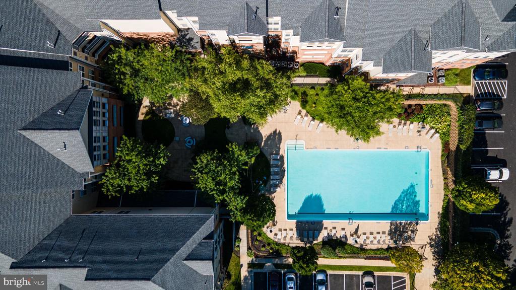 Aerial view of a courtyard swimming pool surrounded by apartment buildings, trees, and lounge chairs.