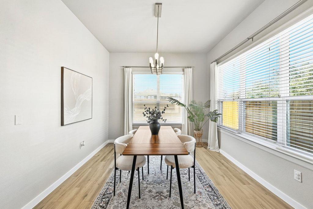 7212 Cardinal Bloom LOOP