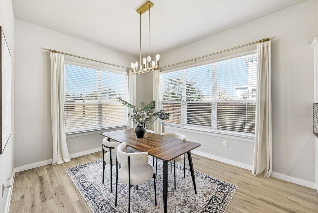 7212 Cardinal Bloom LOOP