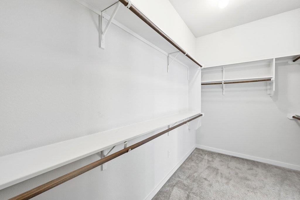 7212 Cardinal Bloom LOOP