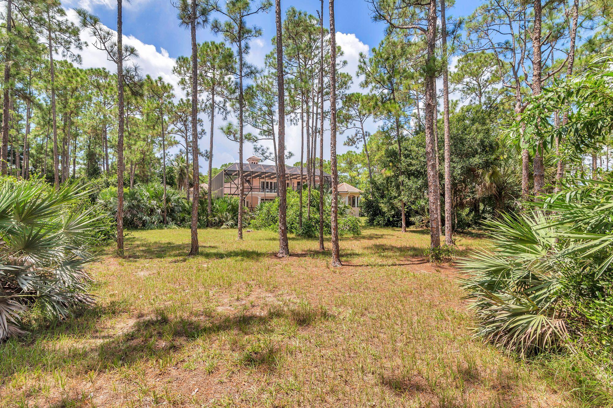 14589 Crazy Horse Lane