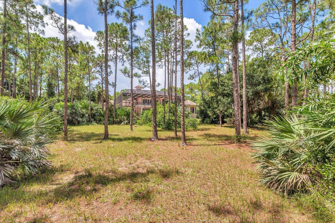 14589 Crazy Horse Lane