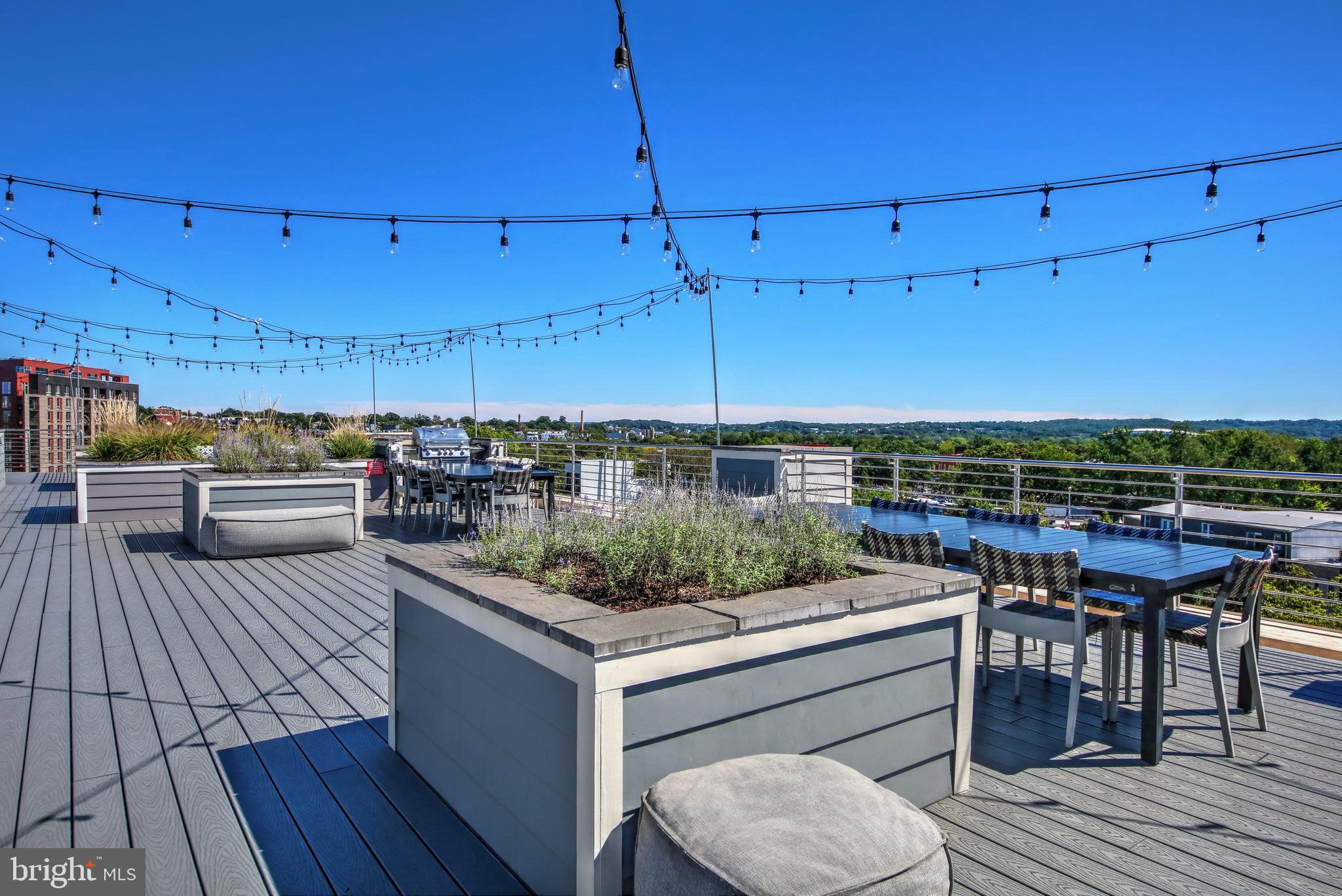 1350 Maryland Avenue NE Unit: 502