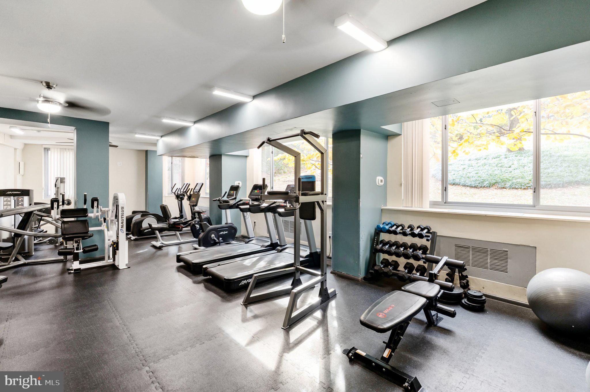 4200 CATHEDRAL AVENUE NW 815