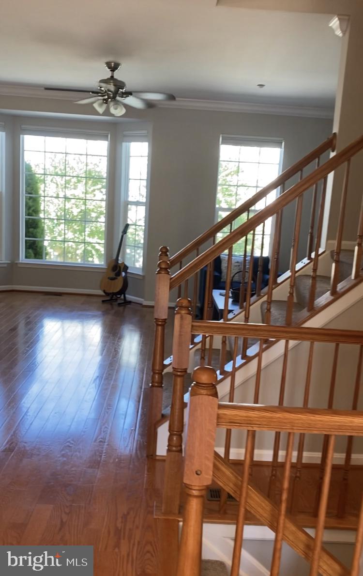 1068 Pipistrelle COURT