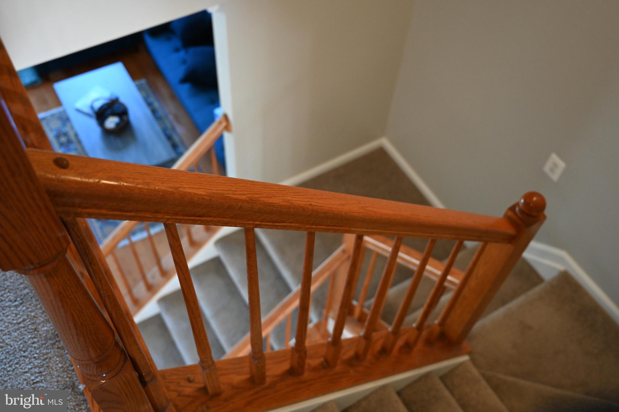1068 Pipistrelle COURT