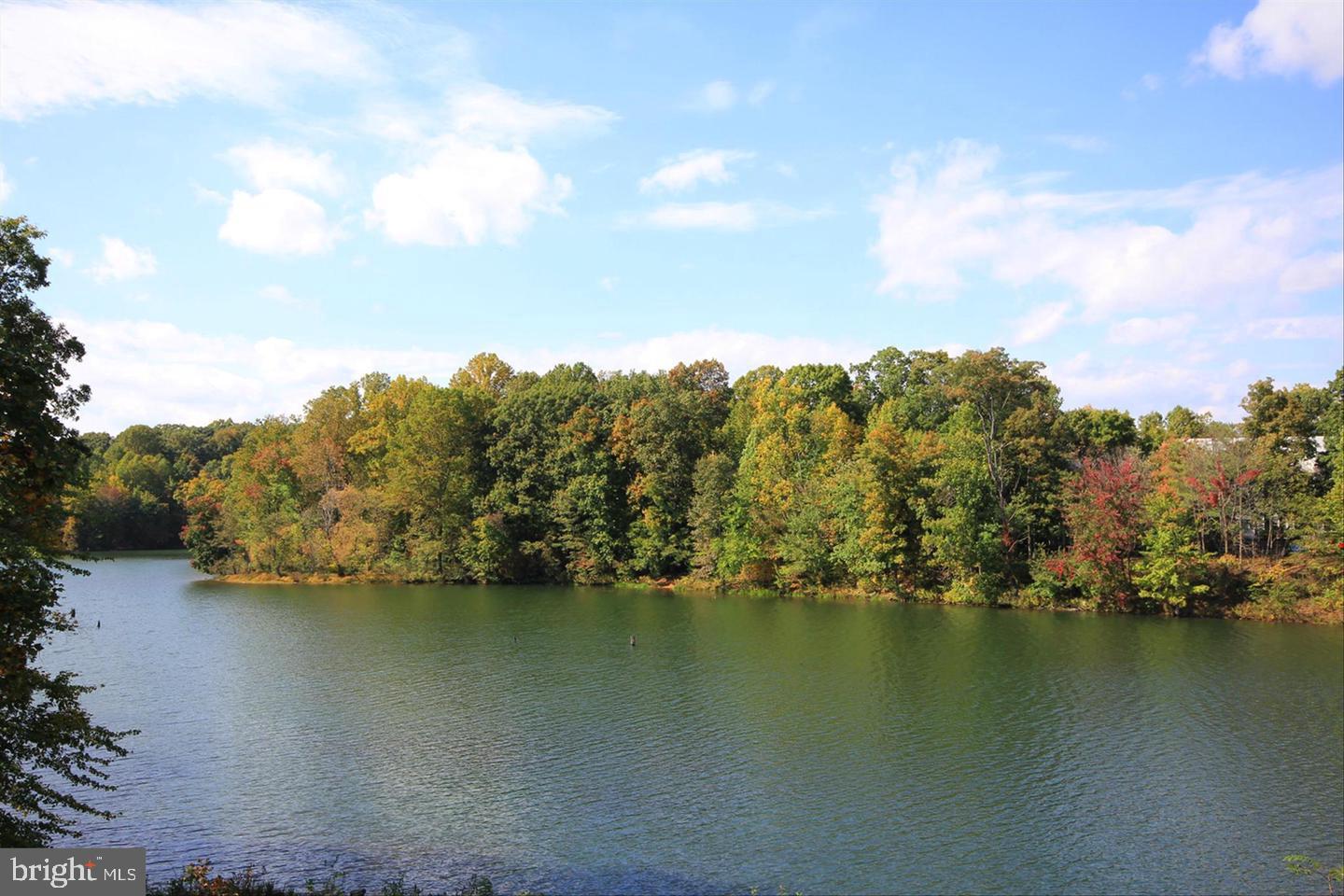 20408 Shore Harbour DRIVE Unit: 5-B