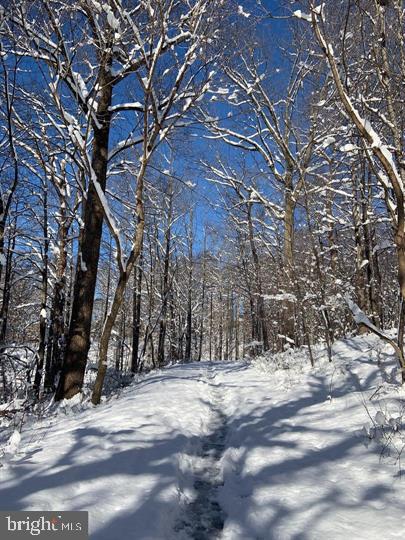 20408 Shore Harbour DRIVE Unit: 5-B