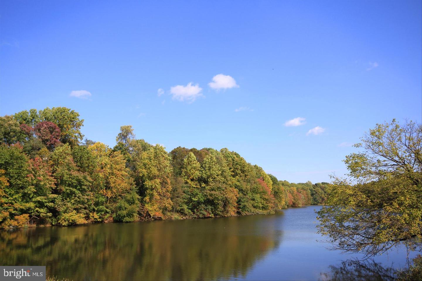 20408 Shore Harbour DRIVE Unit: 5-B