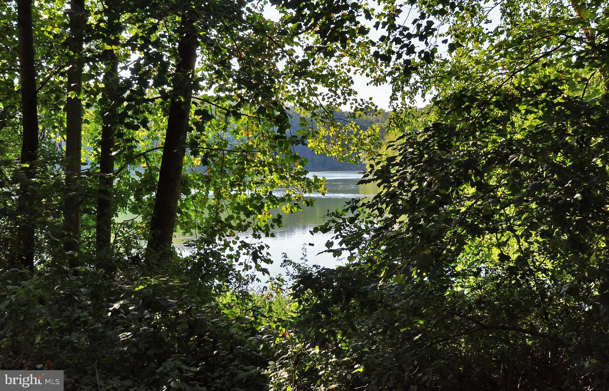 20408 Shore Harbour DRIVE Unit: 5-B