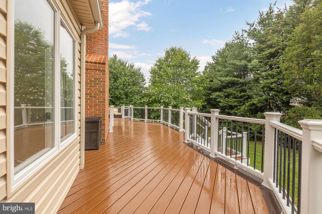 3803 Wingleaf Ct