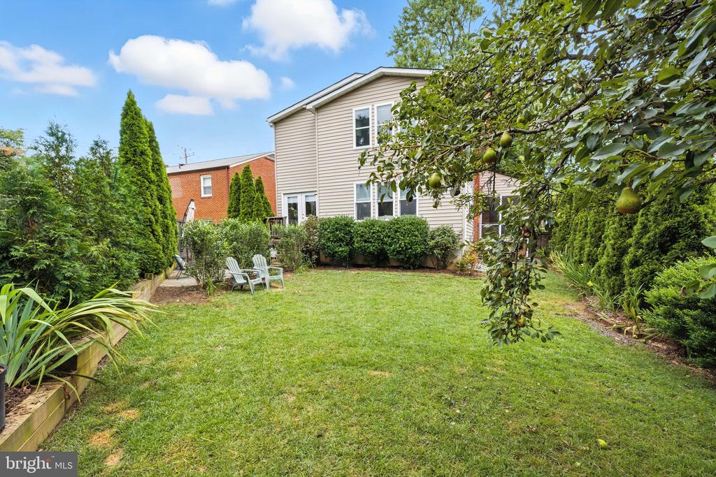 804 LANARK WAY