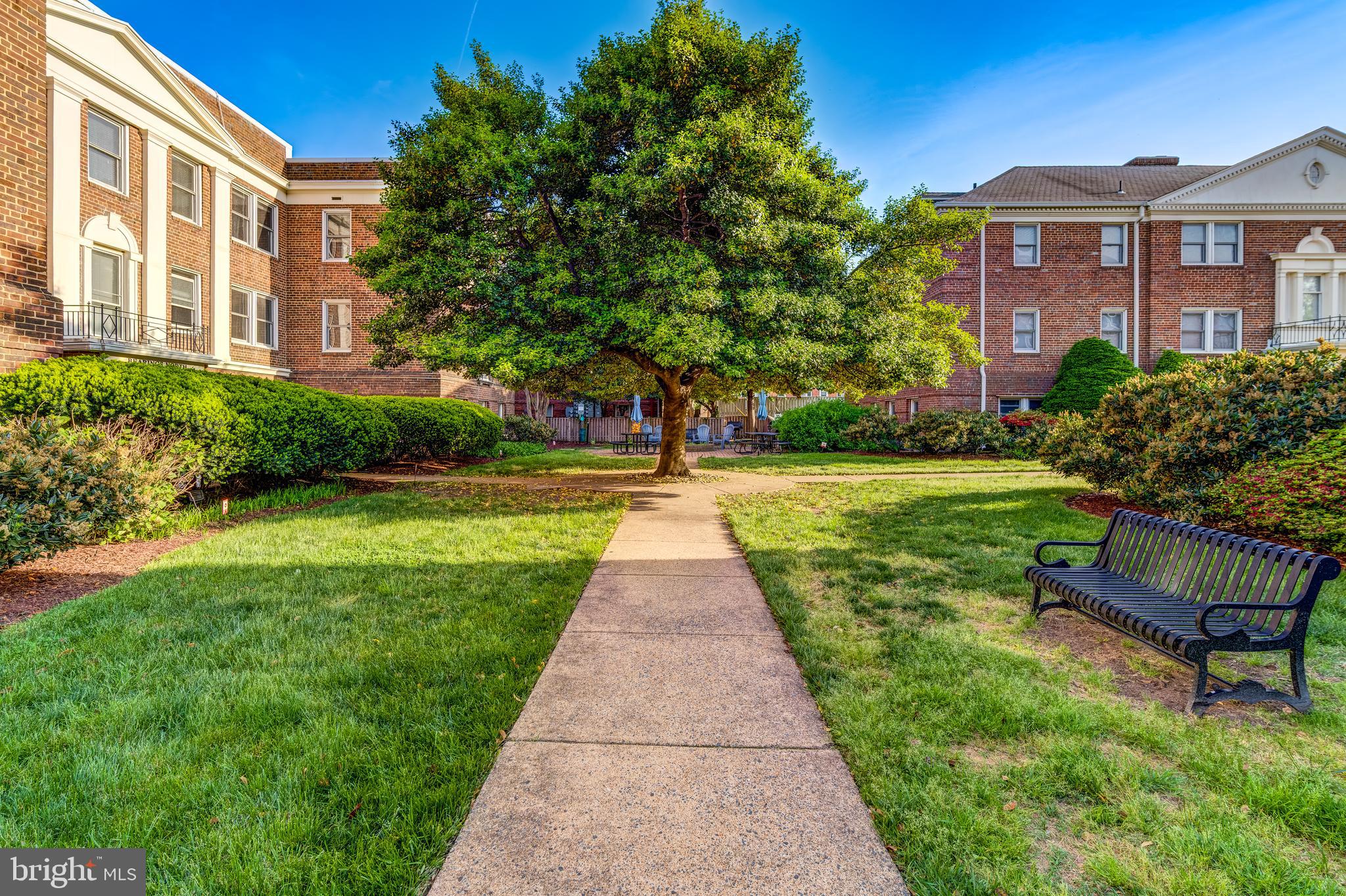 719 S Saint Asaph St #208