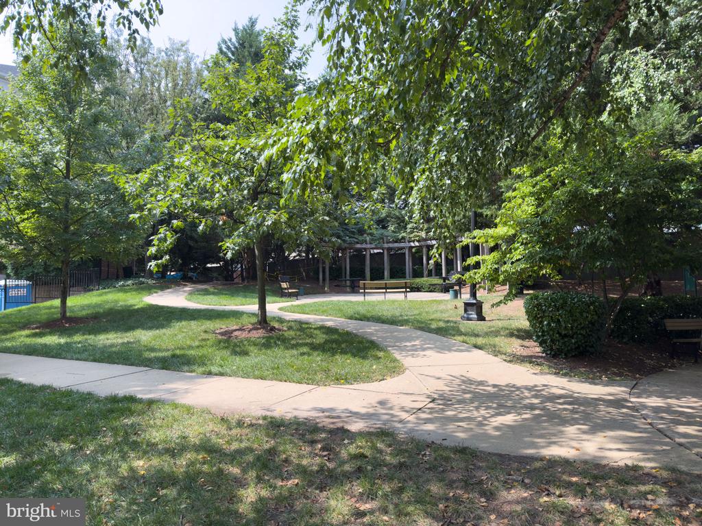 4854 EISENHOWER AVENUE 248