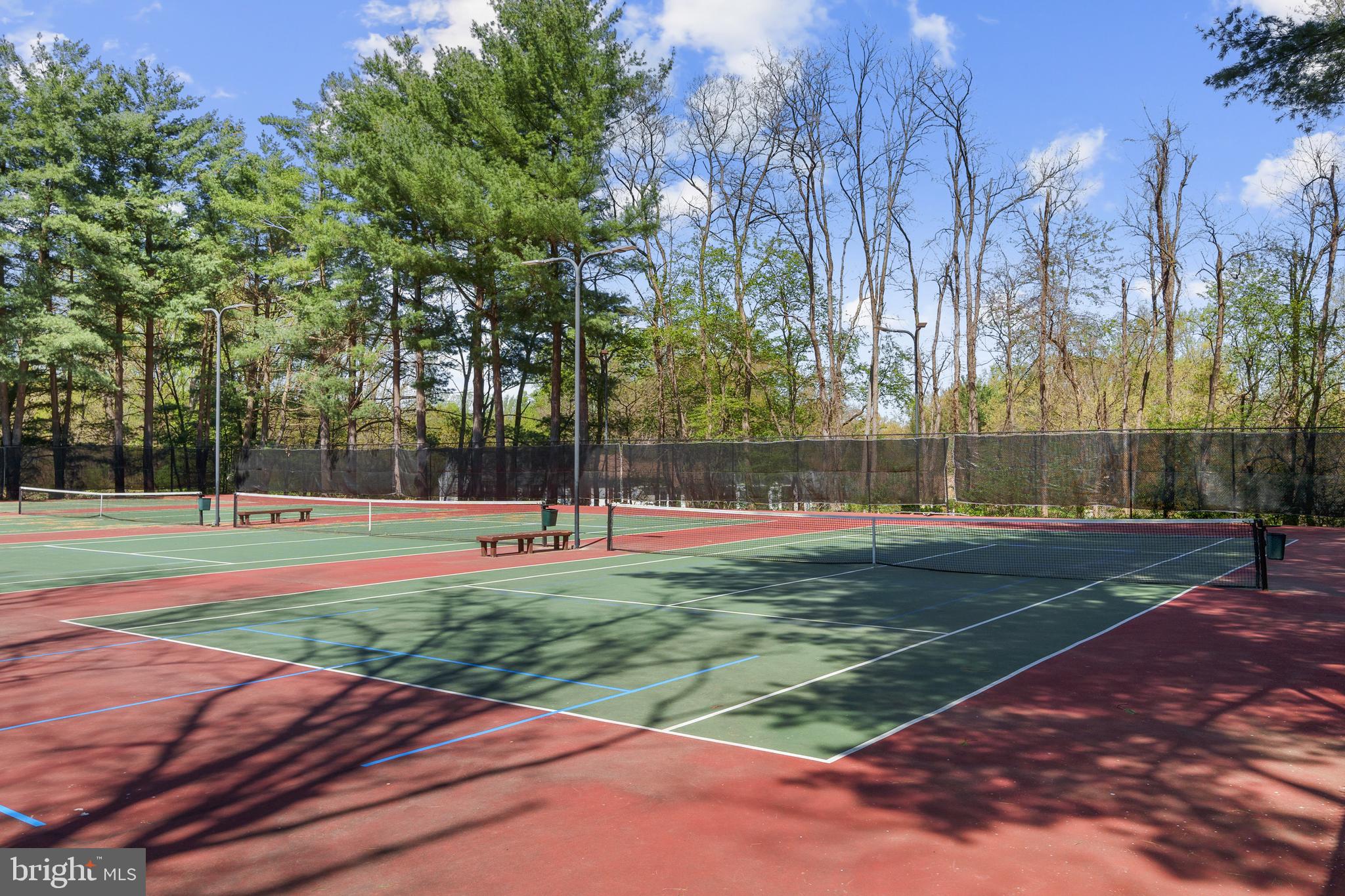 5910 Wood Sorrels Ct