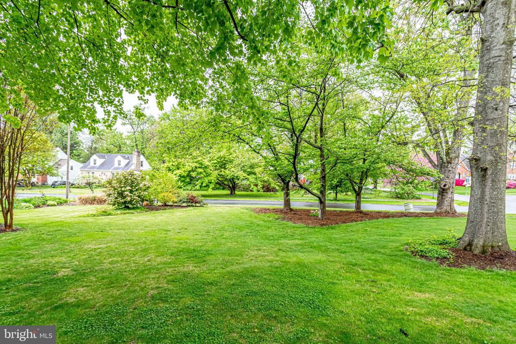 3045 OLIN DRIVE