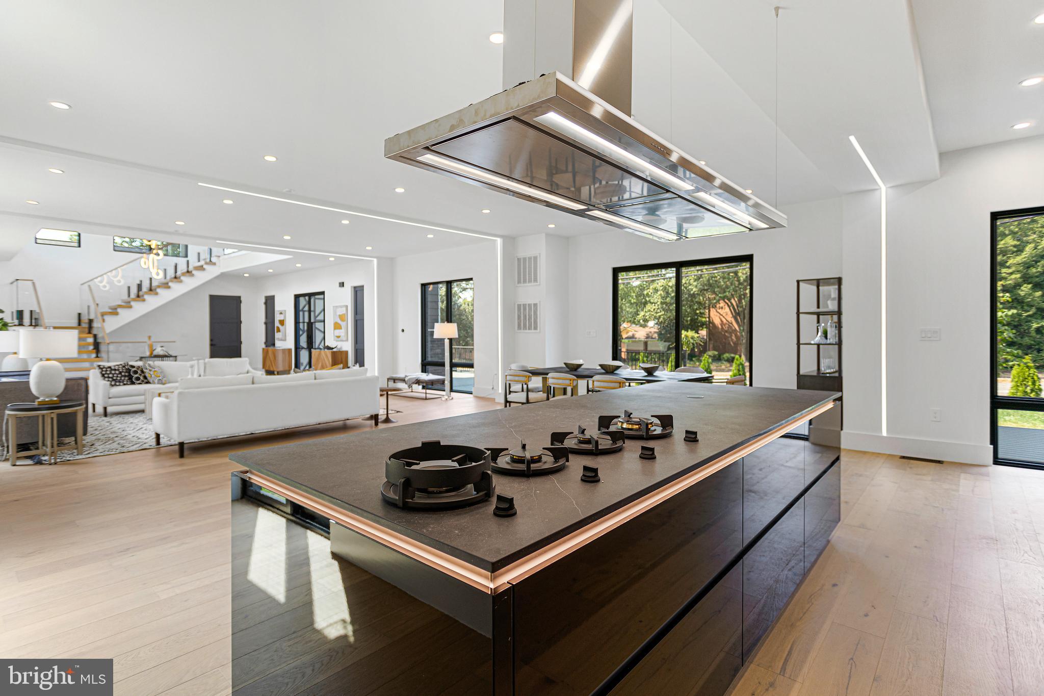 1733 CHAIN BRIDGE ROAD