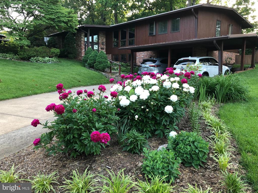 3018 PINE SPRING ROAD