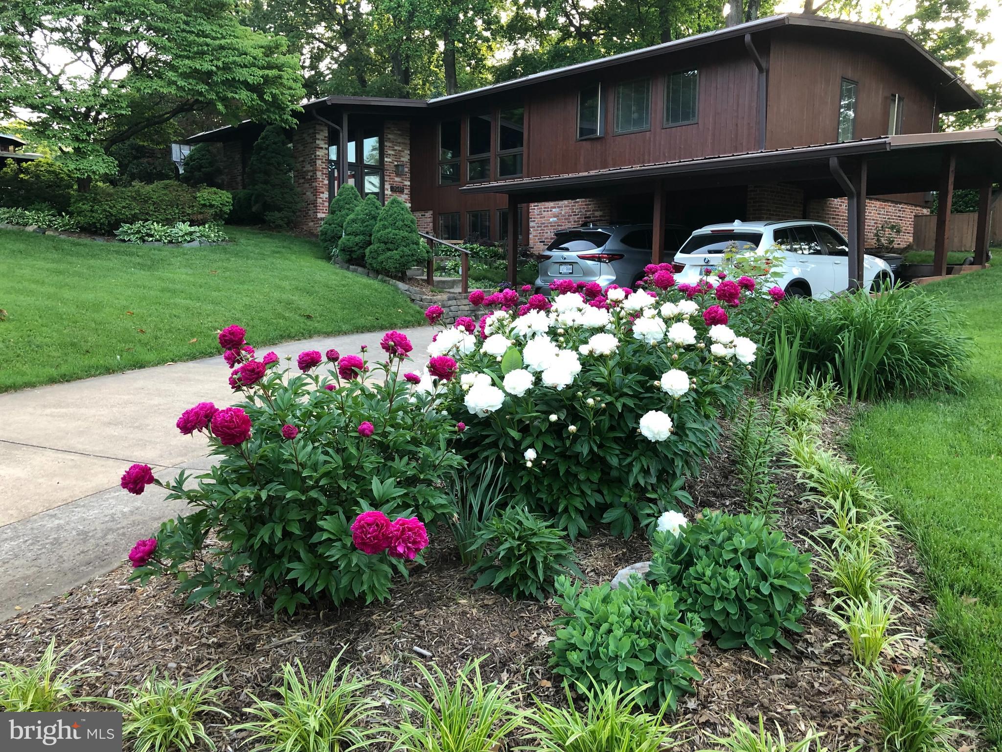 3018 PINE SPRING ROAD