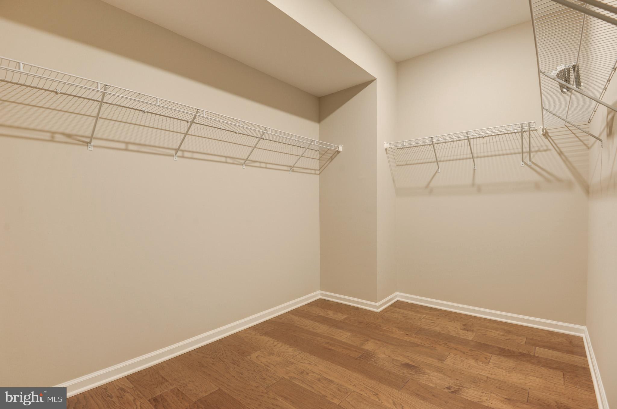 1501 TAWNY THRASHER TER NE