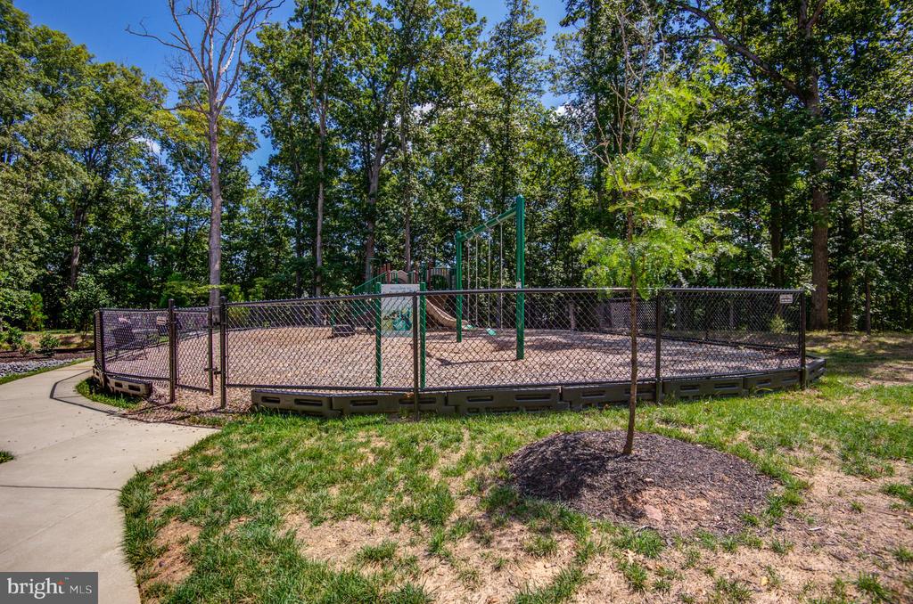 1501 TAWNY THRASHER TER NE