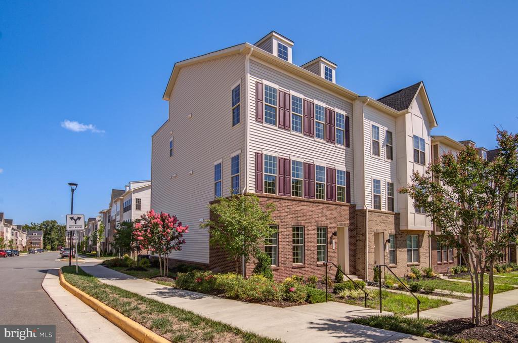 1501 TAWNY THRASHER TER NE