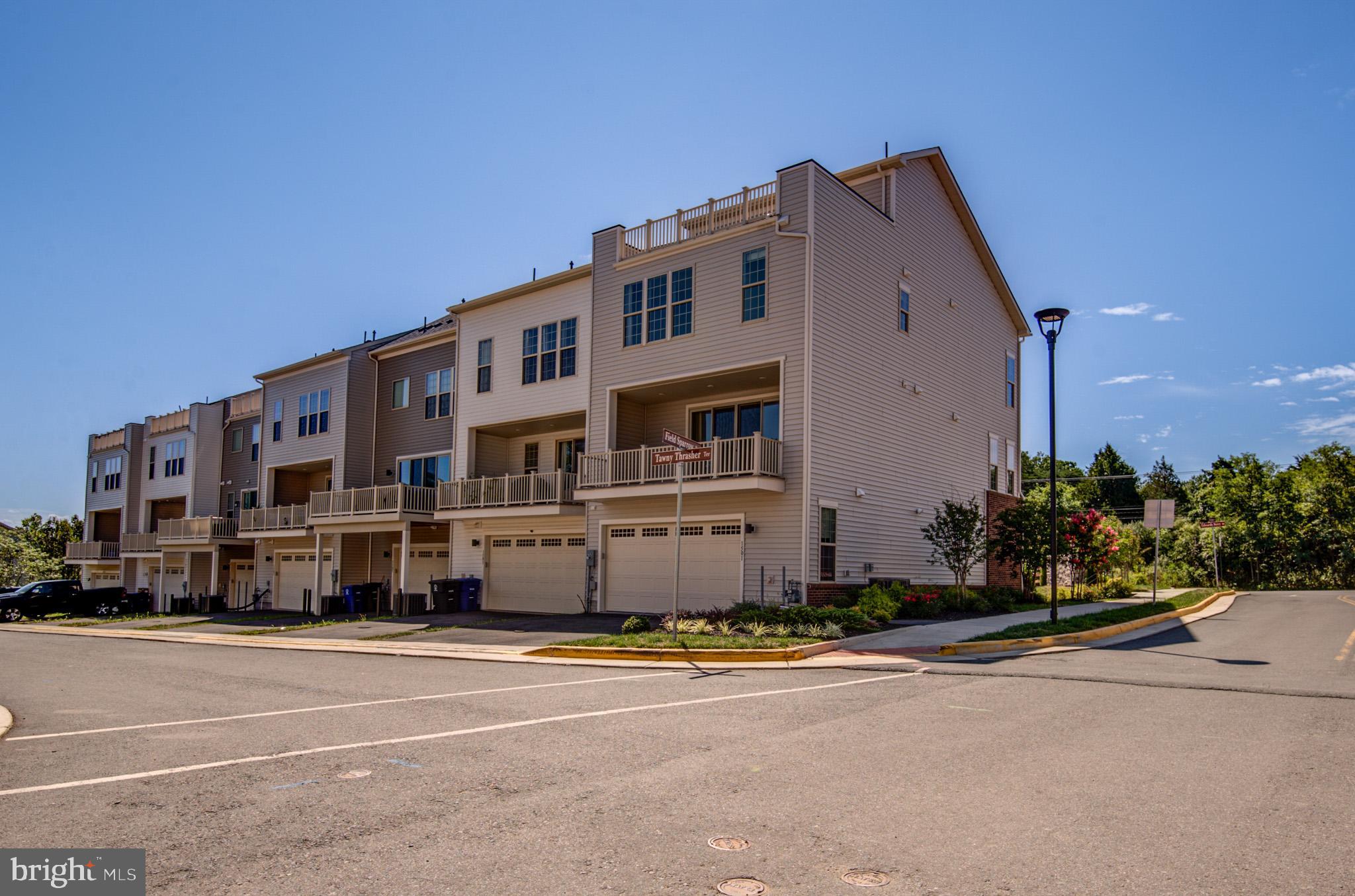 1501 TAWNY THRASHER TER NE