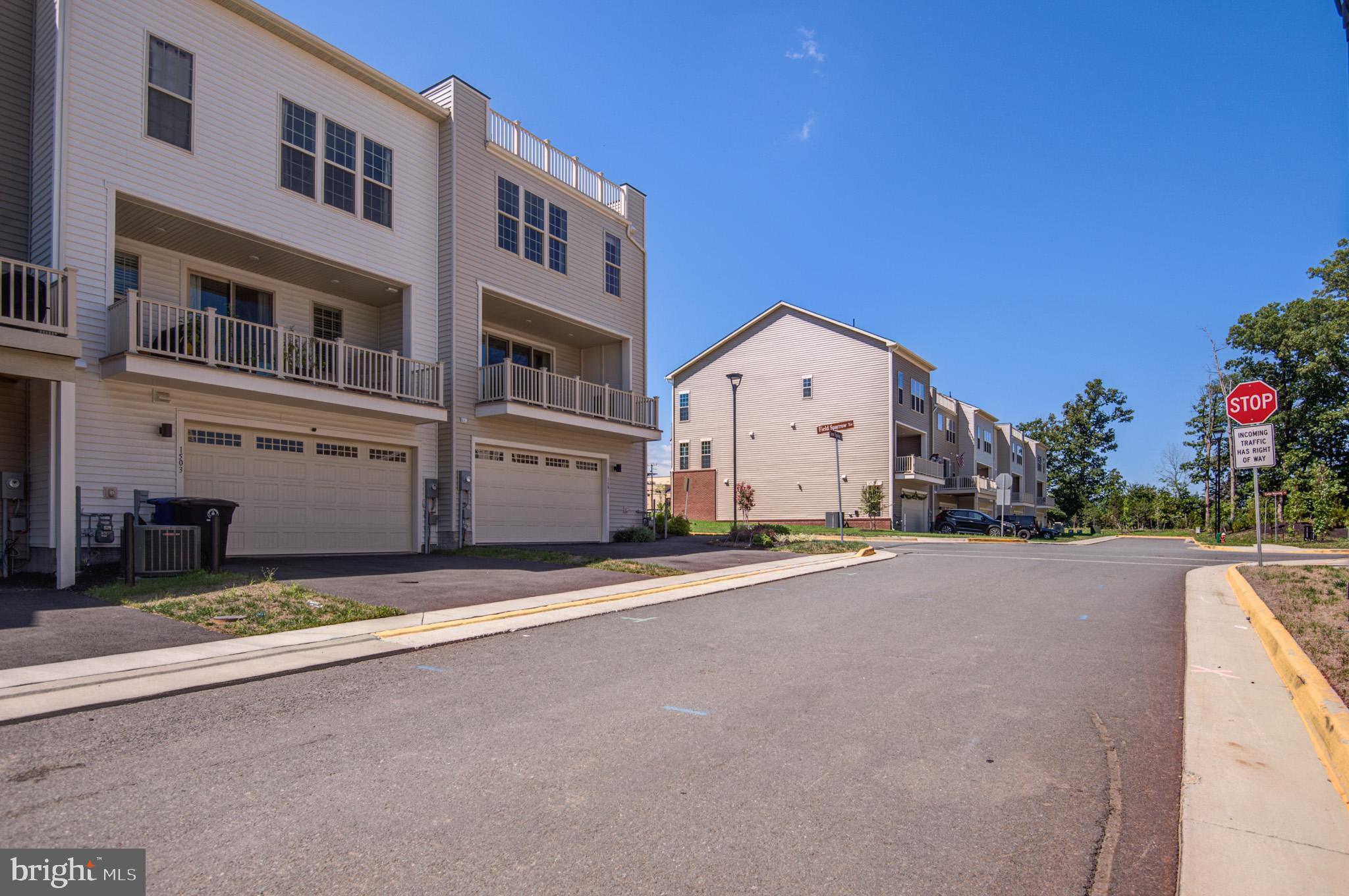 1501 TAWNY THRASHER TER NE