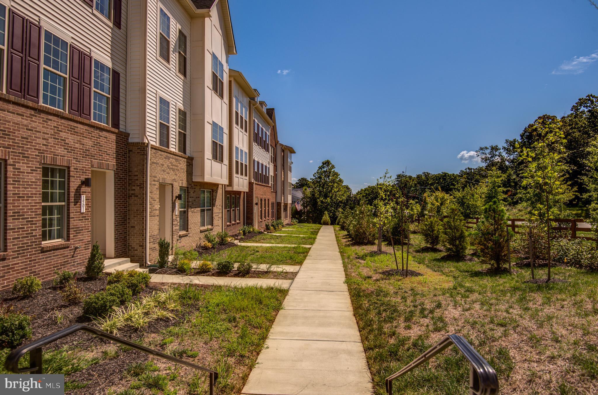 1501 TAWNY THRASHER TER NE