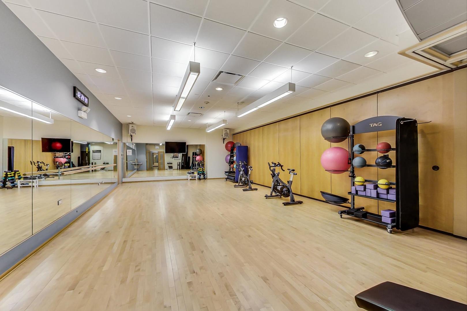 505 N Lake Shore Drive Unit: 4203