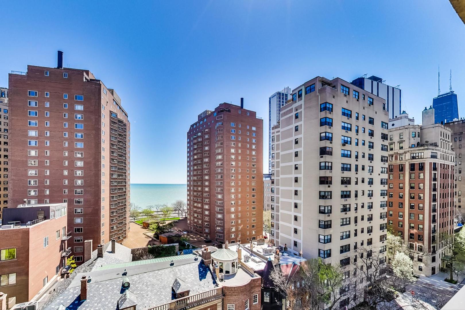 1350 N ASTOR Street Unit: 11C