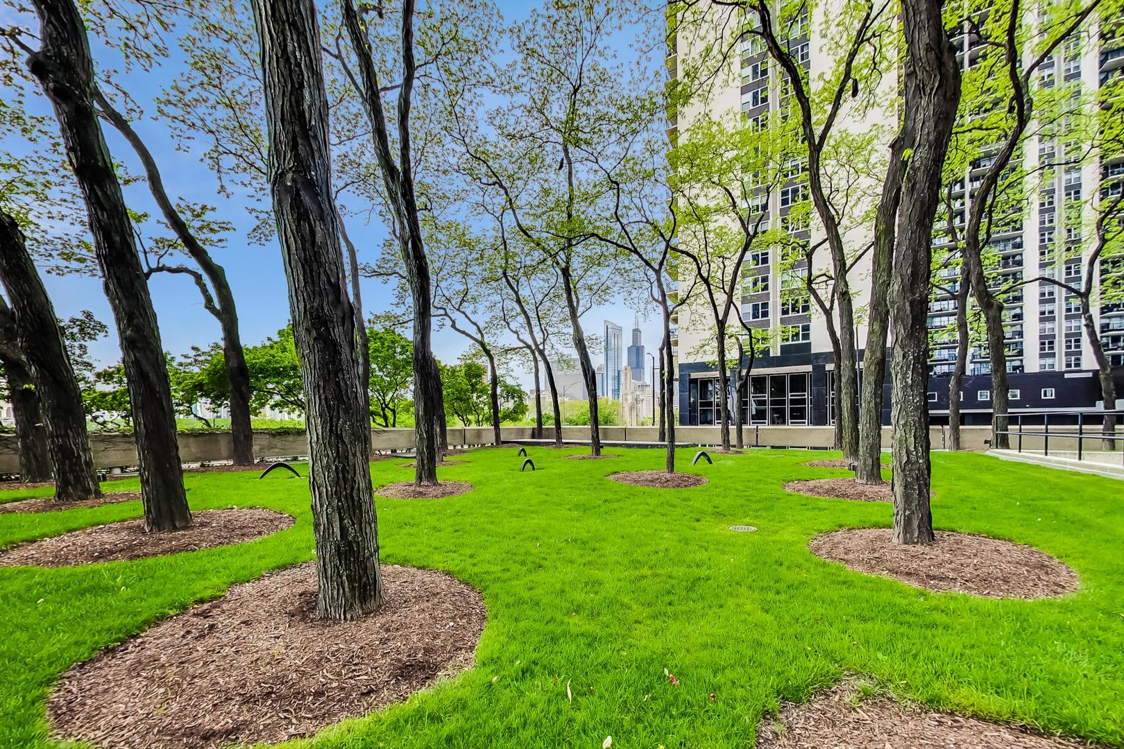 155 N HARBOR Drive Unit: 1204