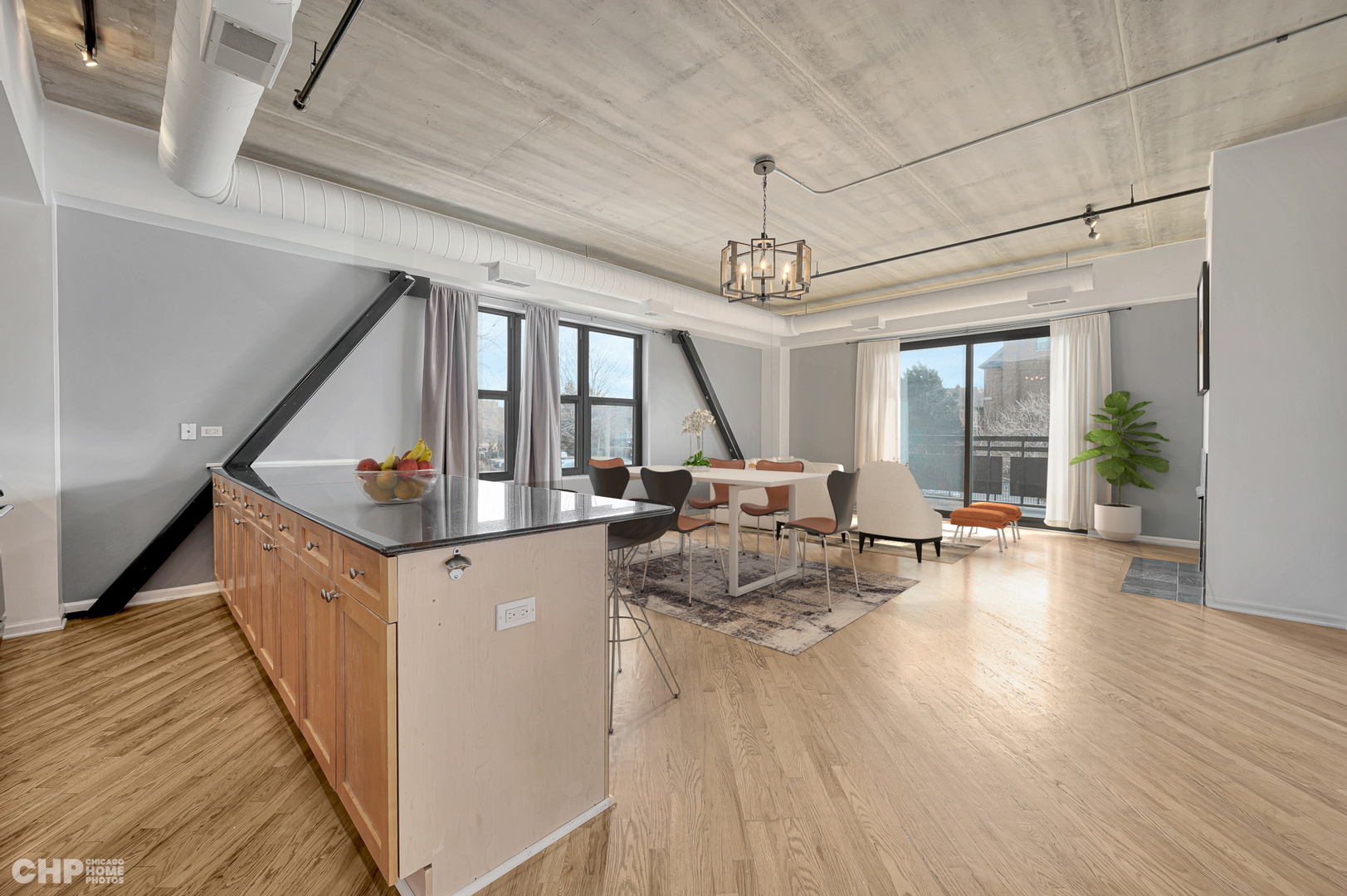 1735 W Diversey Parkway Unit: 209