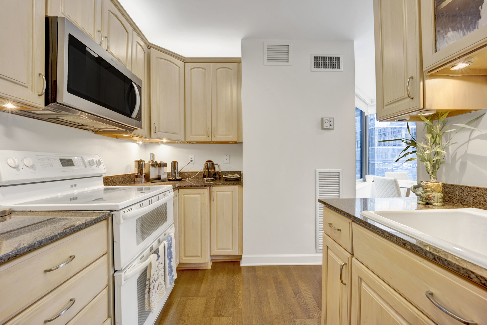 401 E Ontario Street Unit: 1101