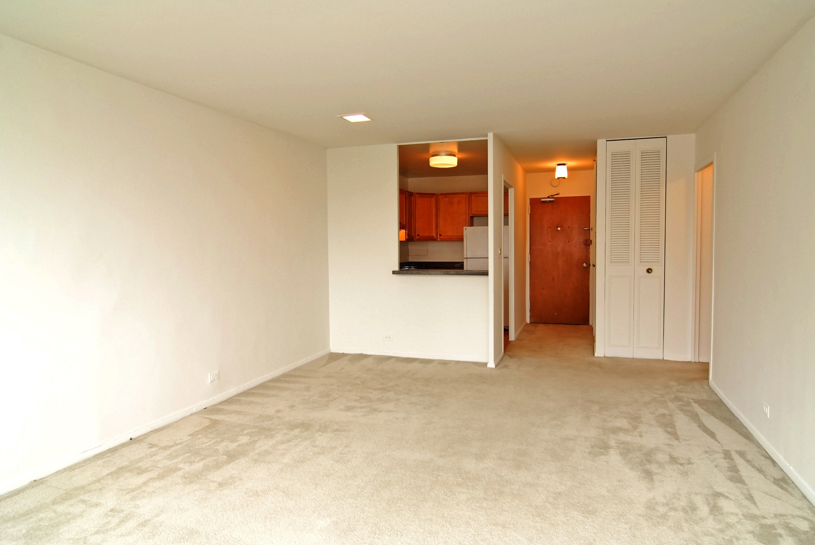 555 W CORNELIA Avenue Unit: 809