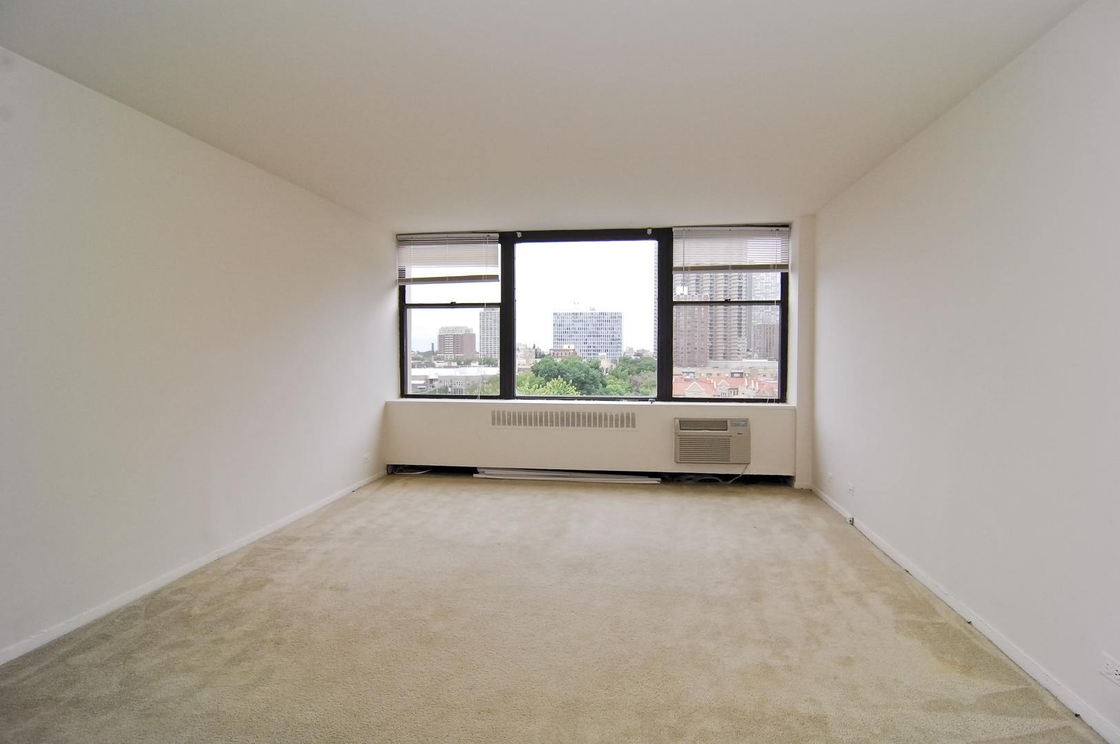 555 W CORNELIA Avenue Unit: 809