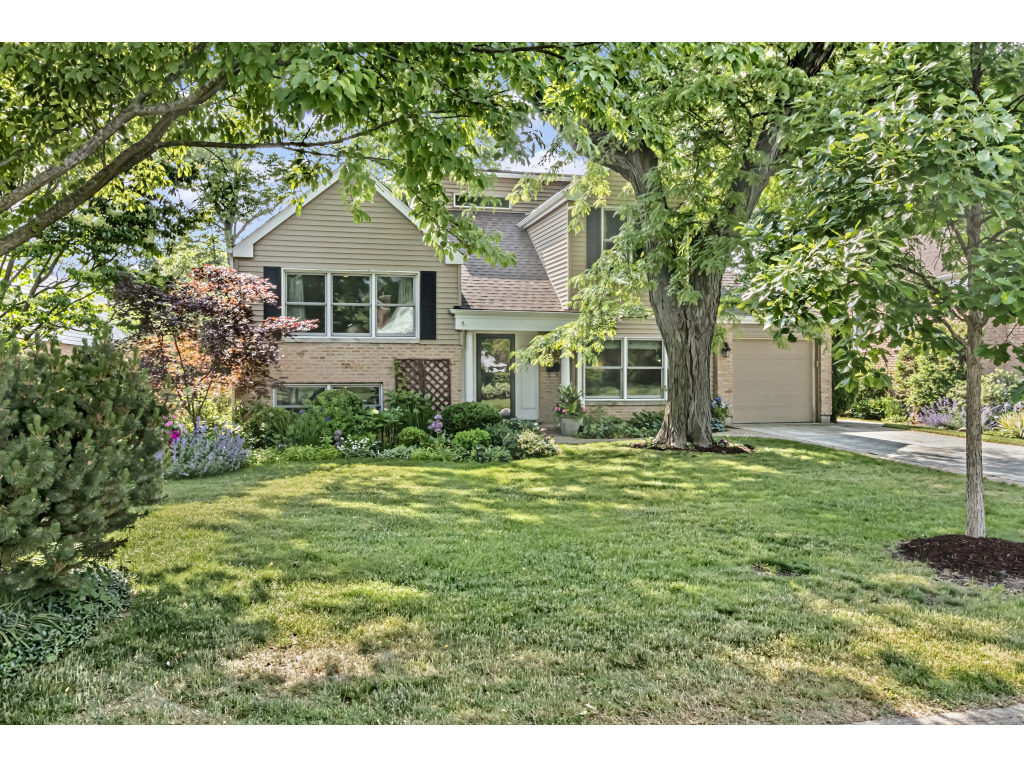 40 Williamsburg Road