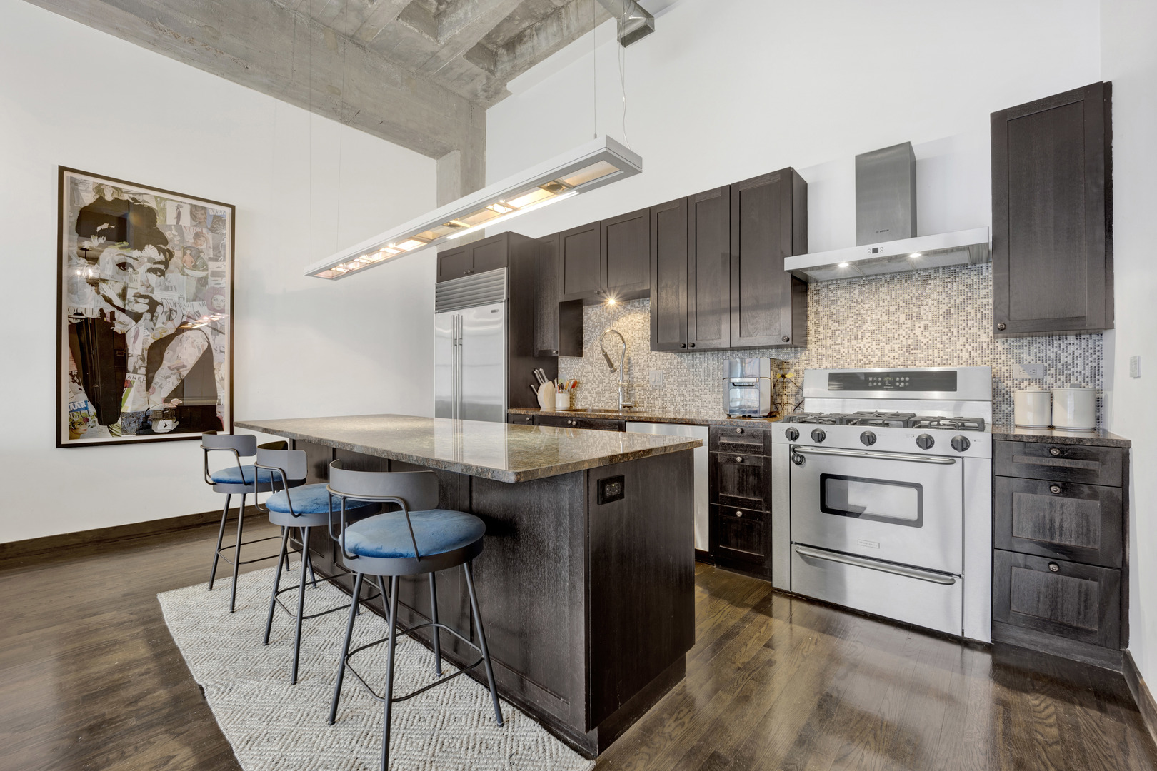 1725 W Division Street Unit: 201