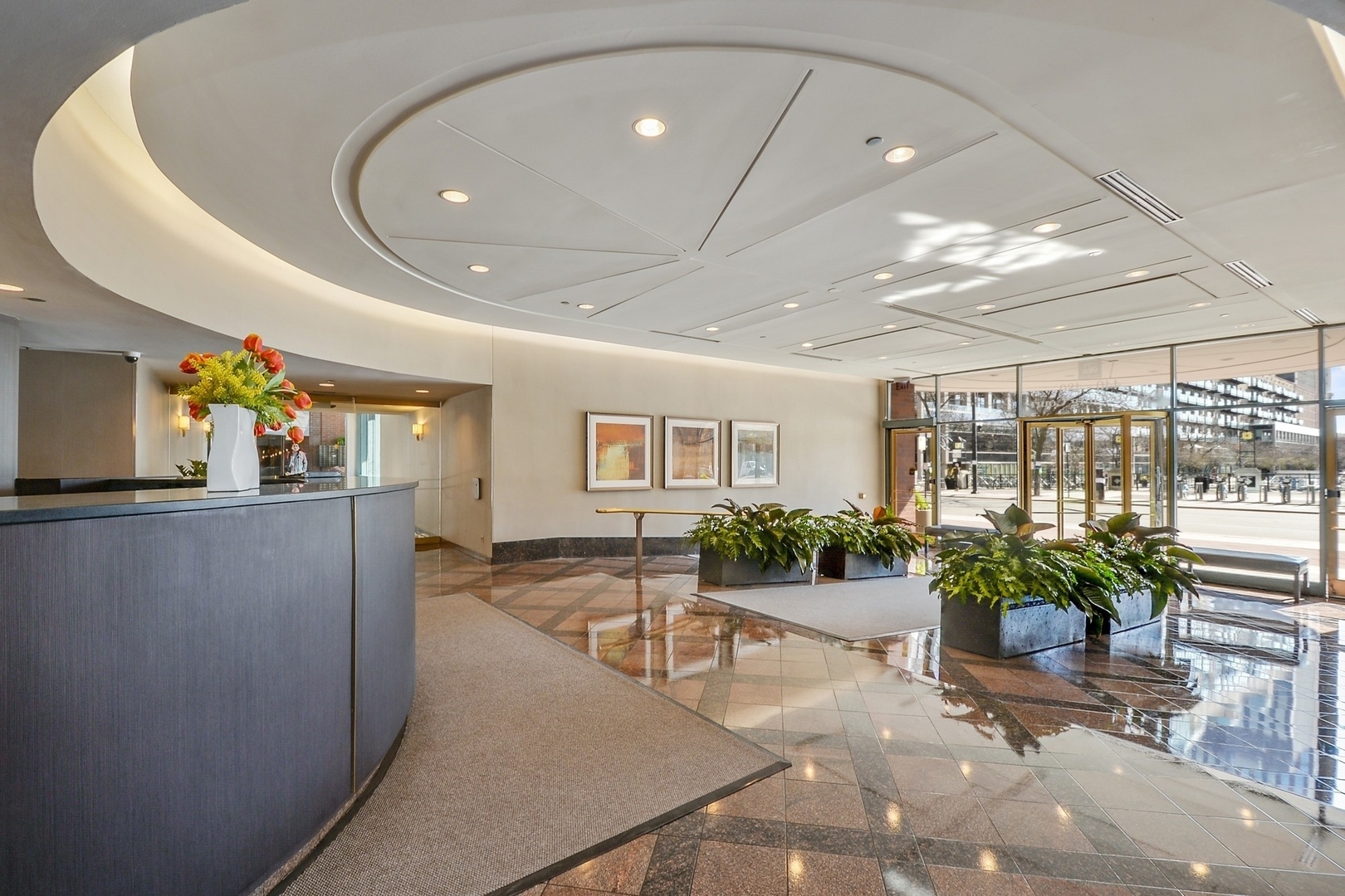 480 N Mcclurg Court Unit: 1201-03