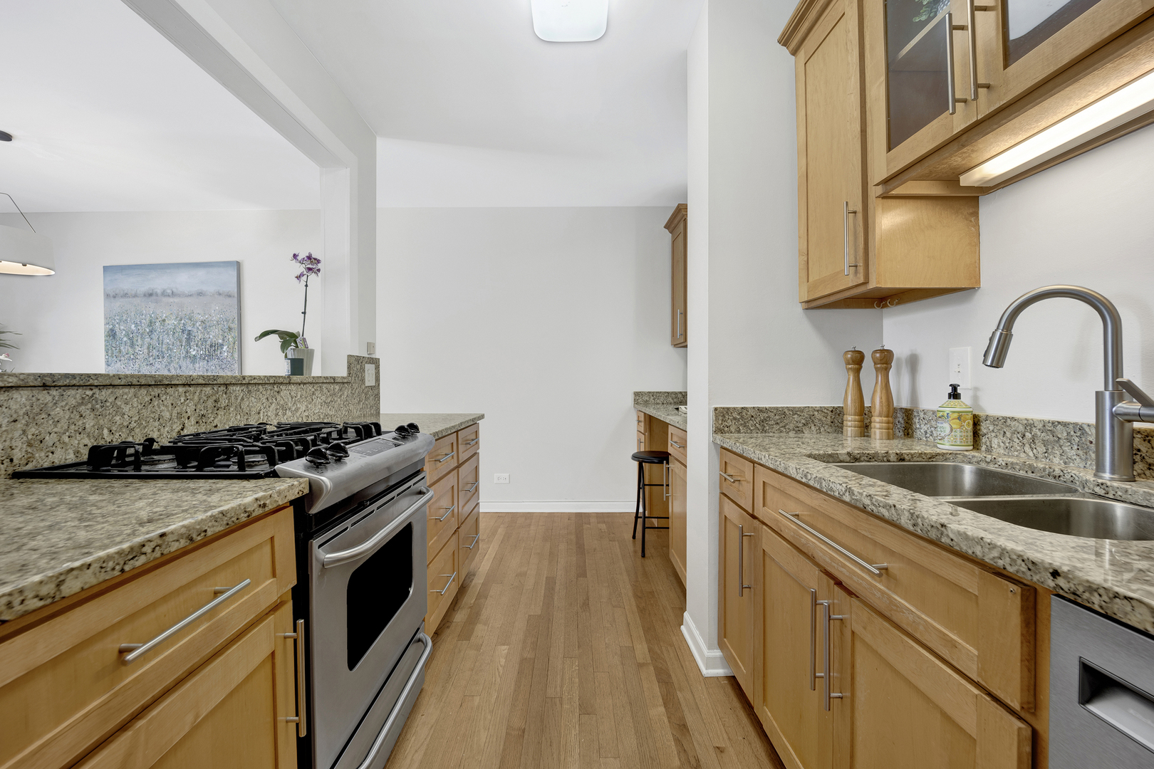 1315 W Webster Avenue