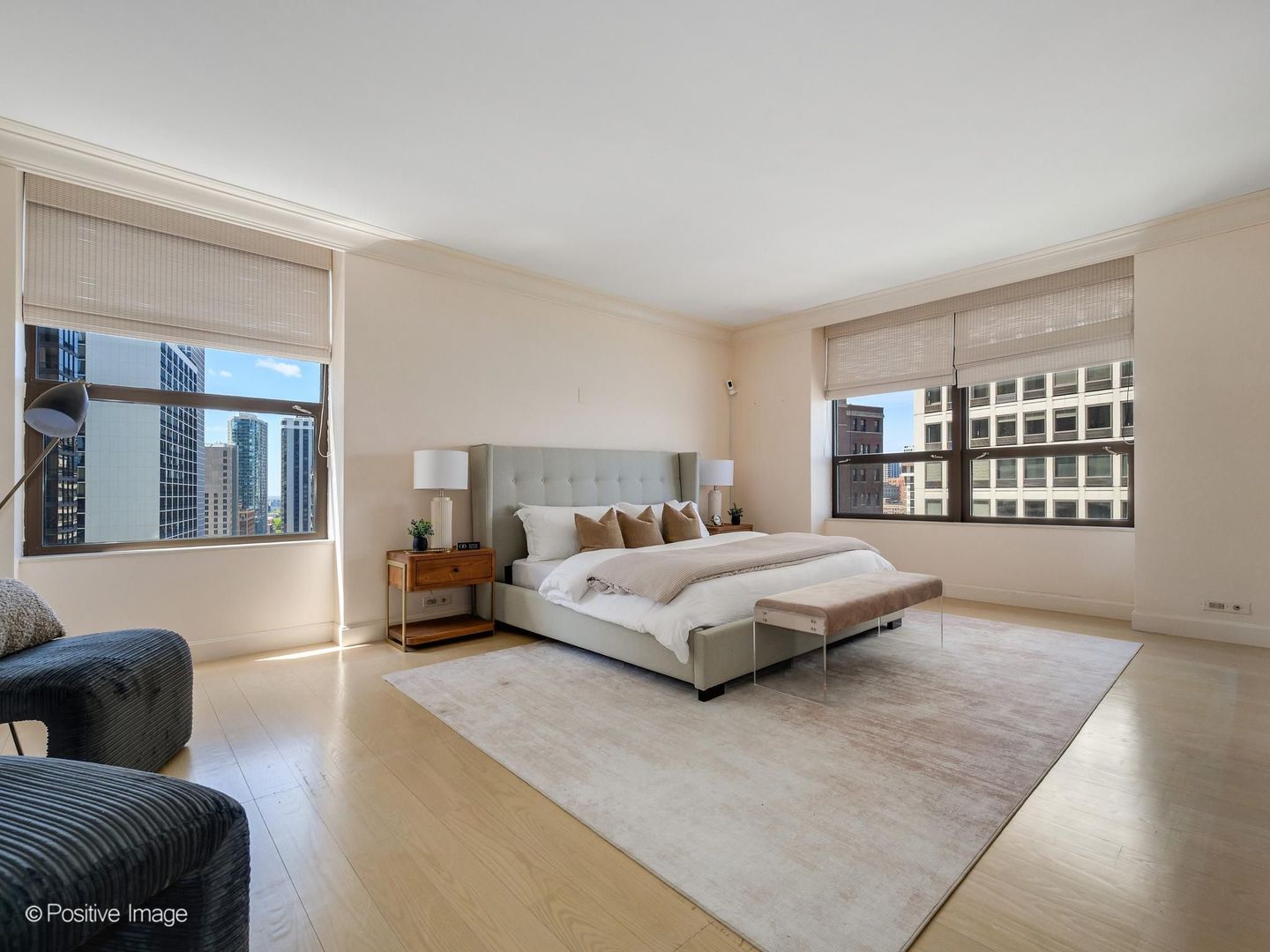 1040 N Lake Shore Drive Unit: 17D