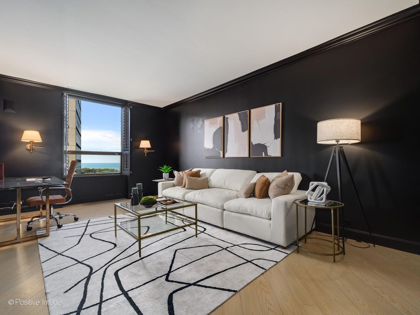 1040 N Lake Shore Drive Unit: 17D