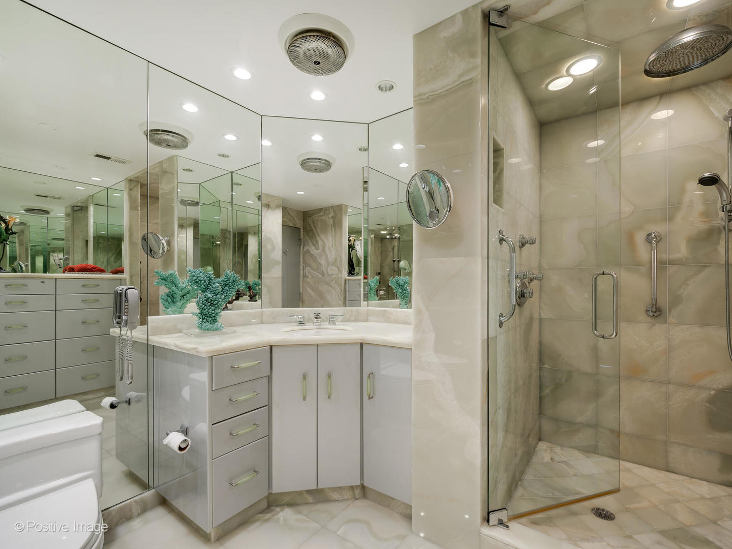 1040 N Lake Shore Drive Unit: 17D