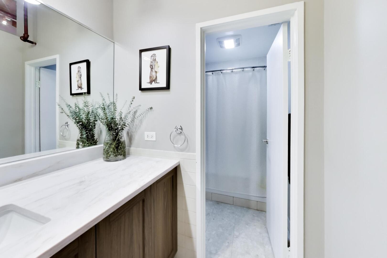 1733 W Irving Park Road Unit: 215