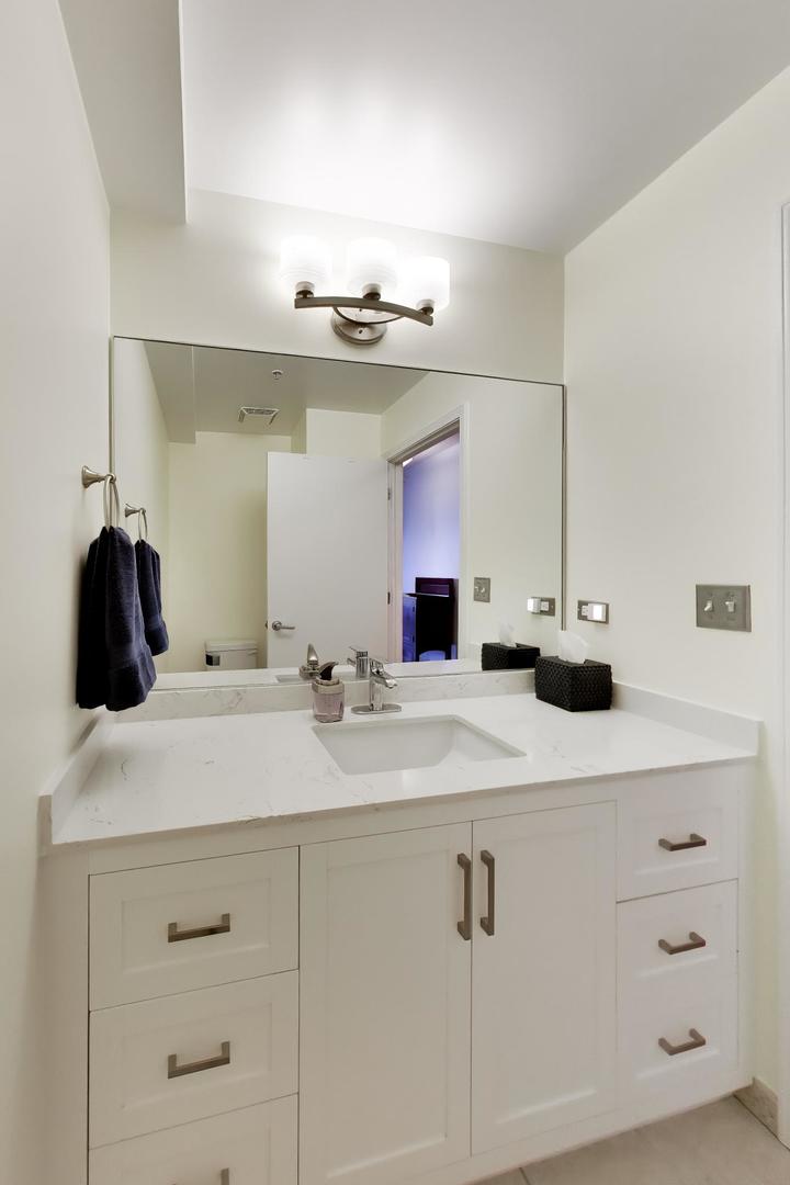 1717 S PRAIRIE Avenue Unit: 1204