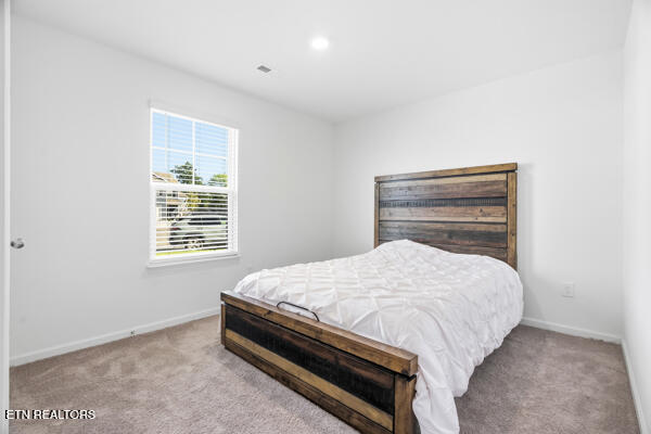 6838 Tall Shadow Lane