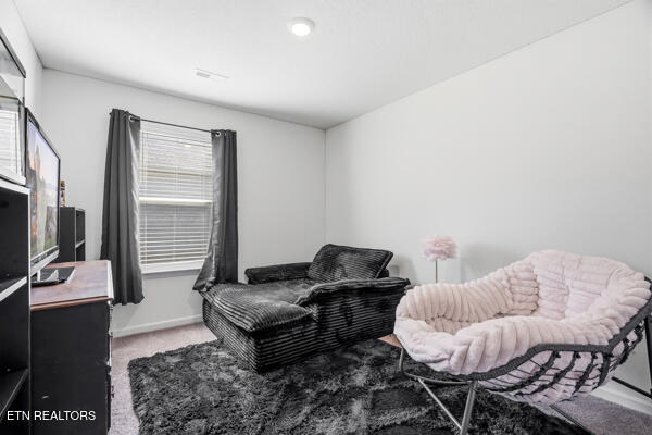 6838 Tall Shadow Lane