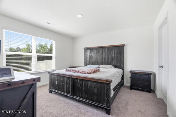 6838 Tall Shadow Lane