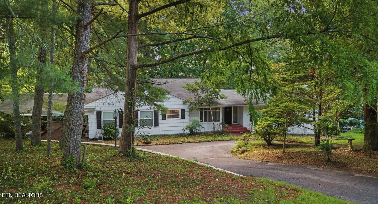 124 Orchard Circle