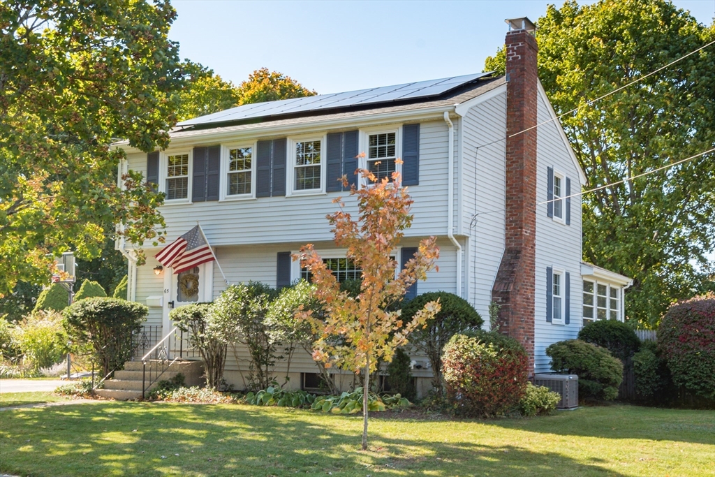 65 Damon Road